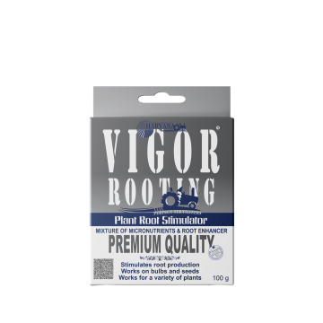 VIGOR ROOTING VIGOR ROOTING